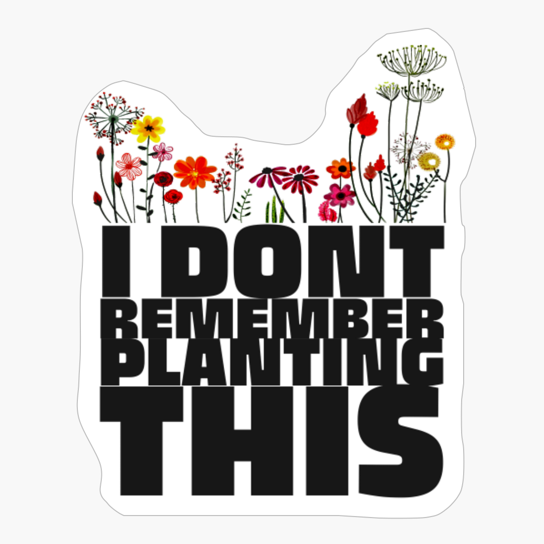 I DONT REMEMBER PLANTING THIS Cute Minimal Pink Flower Plants Design On Black And White