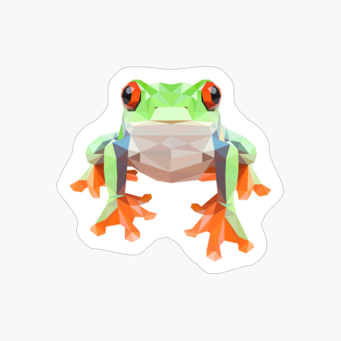 Cute Polygonal Frog Lover Gifts Ideas Men Women