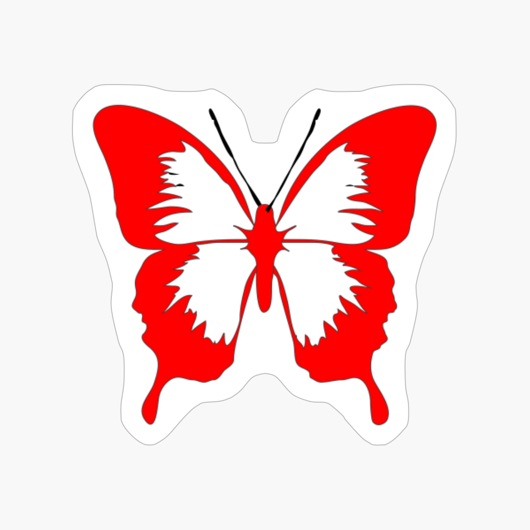 Beautiful Black And Red Butterfly