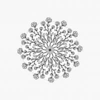 Black & White Flower Mandala