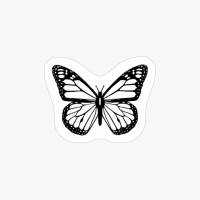 Beautiful White Butterfly