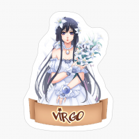 A Zodiac Sign Test Virgo