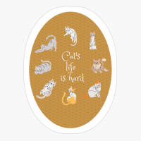 Cat S Life Is Hard
