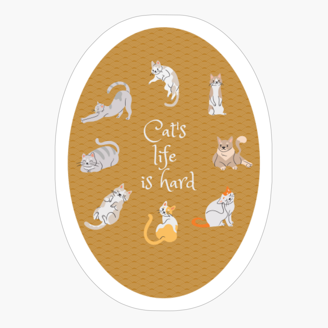 Cat S Life Is Hard