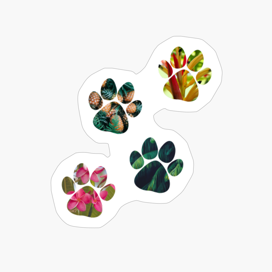 Paws - Summer Edition