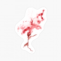 Florbroja Quest Amanece