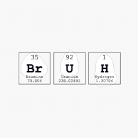 Bruh Periodic Table Science Print