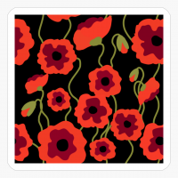 Poppy Flowers, Red Poppyflowers On Black