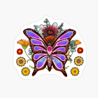 Butterfly Clipart