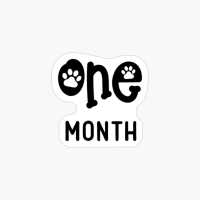Baby Milestone Paw