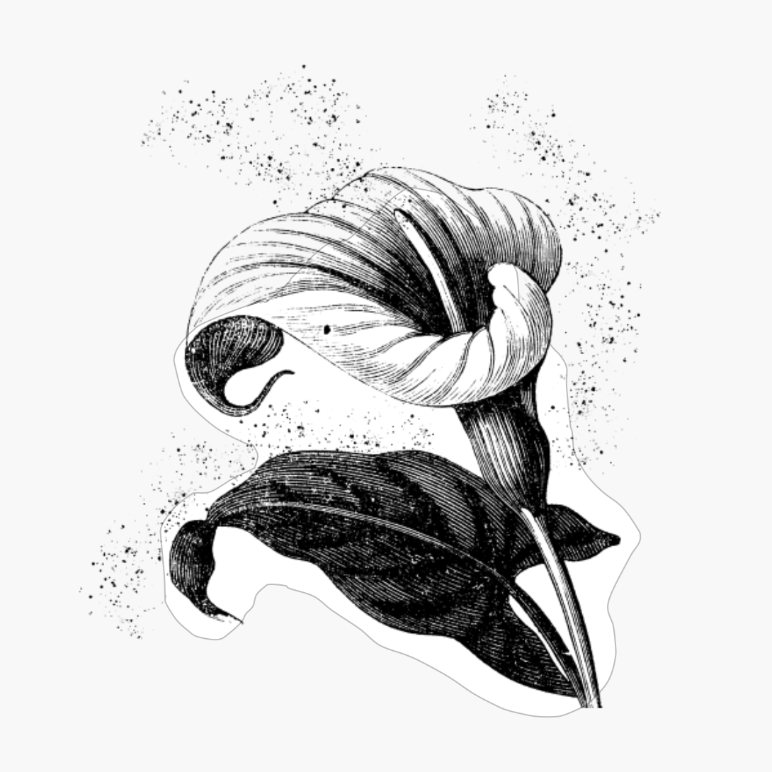 Calla Magic Flower Spiritual Mystical - Besties Present