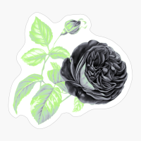 Agender Pride Vintage Flower And Leaves