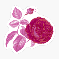 Lesbian Pride Vintage Flower And Leaves