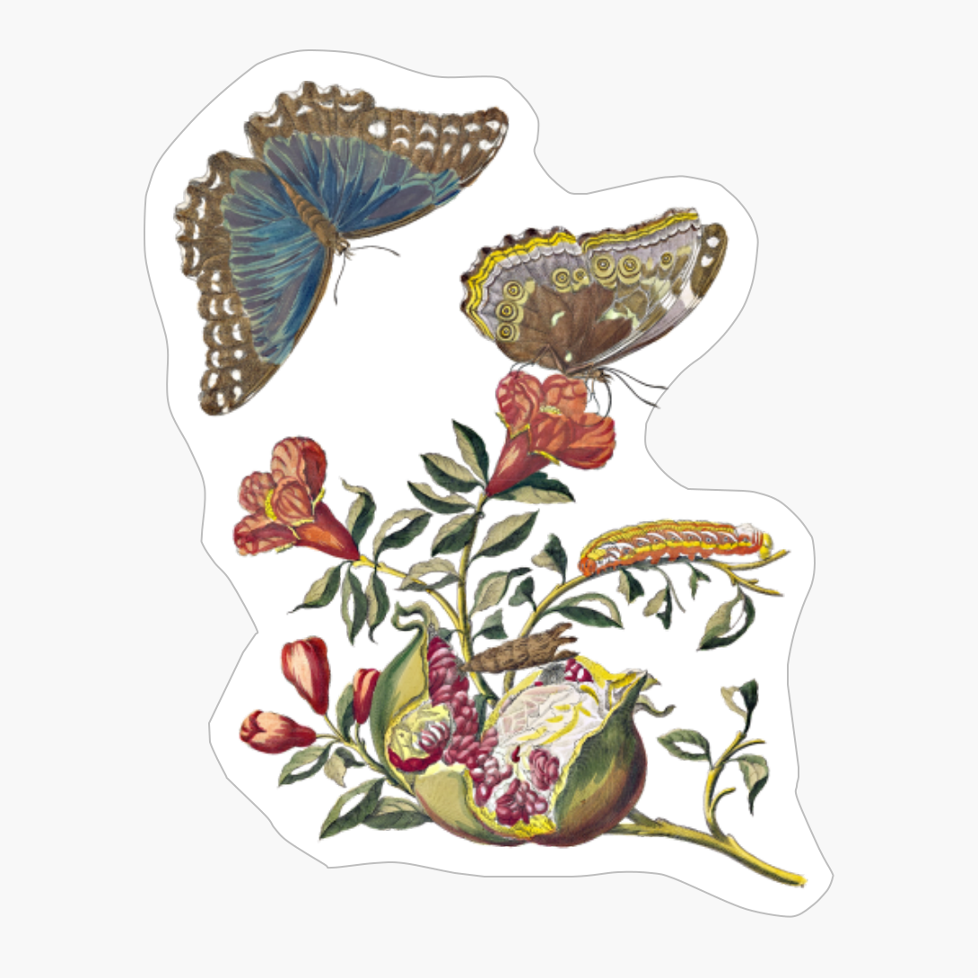 Nature Botanical Sketchbook Vintage Design