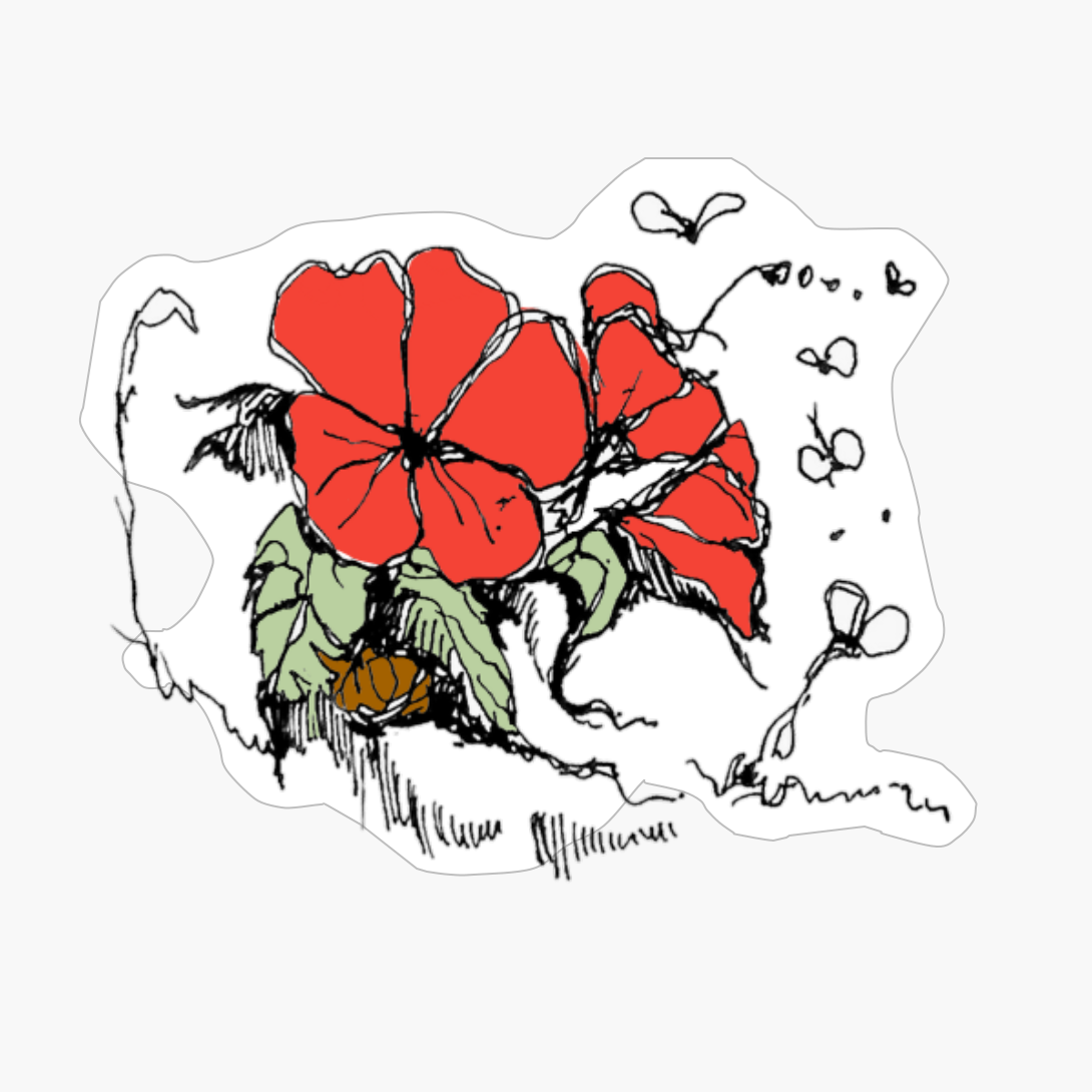 FLOWER Of An Red Ibiscus