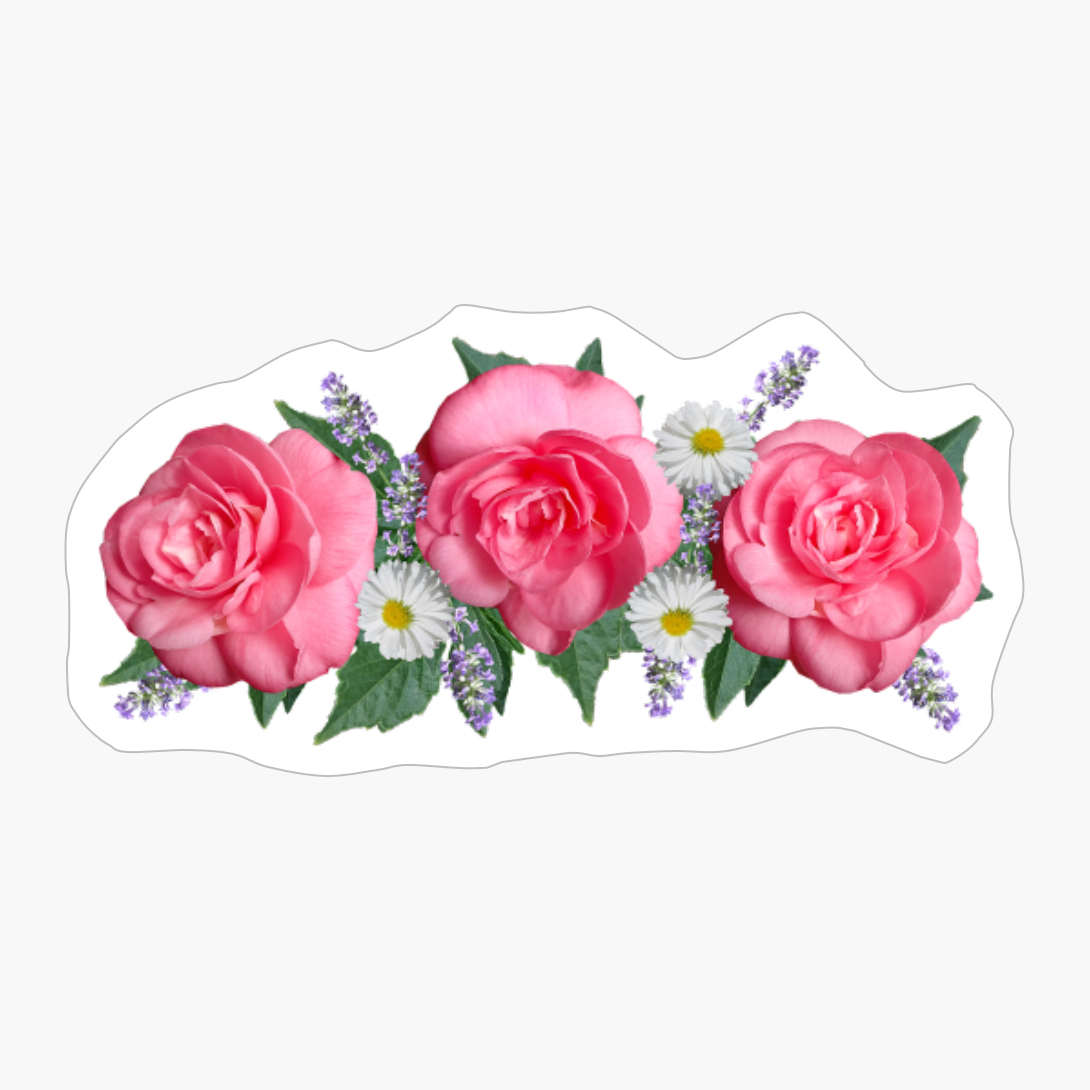 Pink Camellias Daisies Lavender Flowers