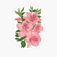 Flower Plant Blossom Bloom Vintage Isolated