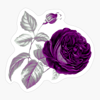 Asexual Pride Vintage Flower And Leaves