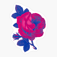 Bisexual Pride Vintage Flower Art
