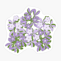 Genderqueer Pride Five-Petal Flower Assortment