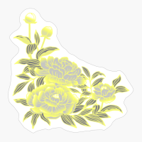 Deminonbinary Pride Peony Flower Arrangement