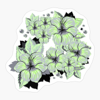 Agender Pride Hibiscus Flowers And Droplets