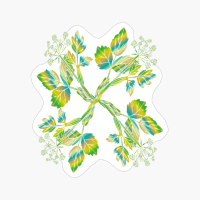 White Snakeroot Flowers