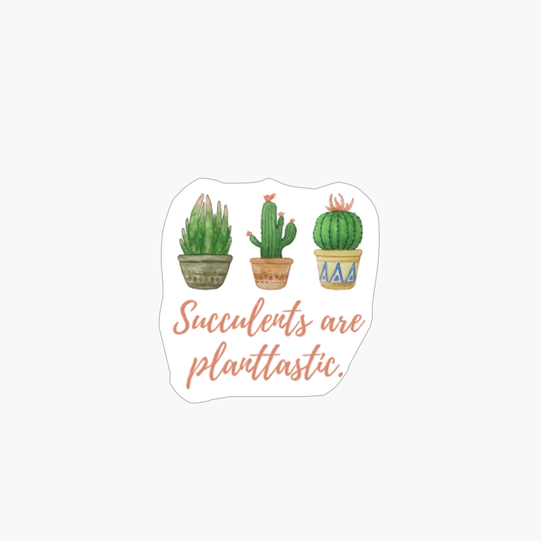 Succulents Are Planttastic.