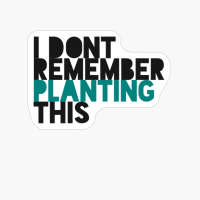 I DONT REMEMBER PLANTING THIS Large Simple Minimalist Blue White Font Design