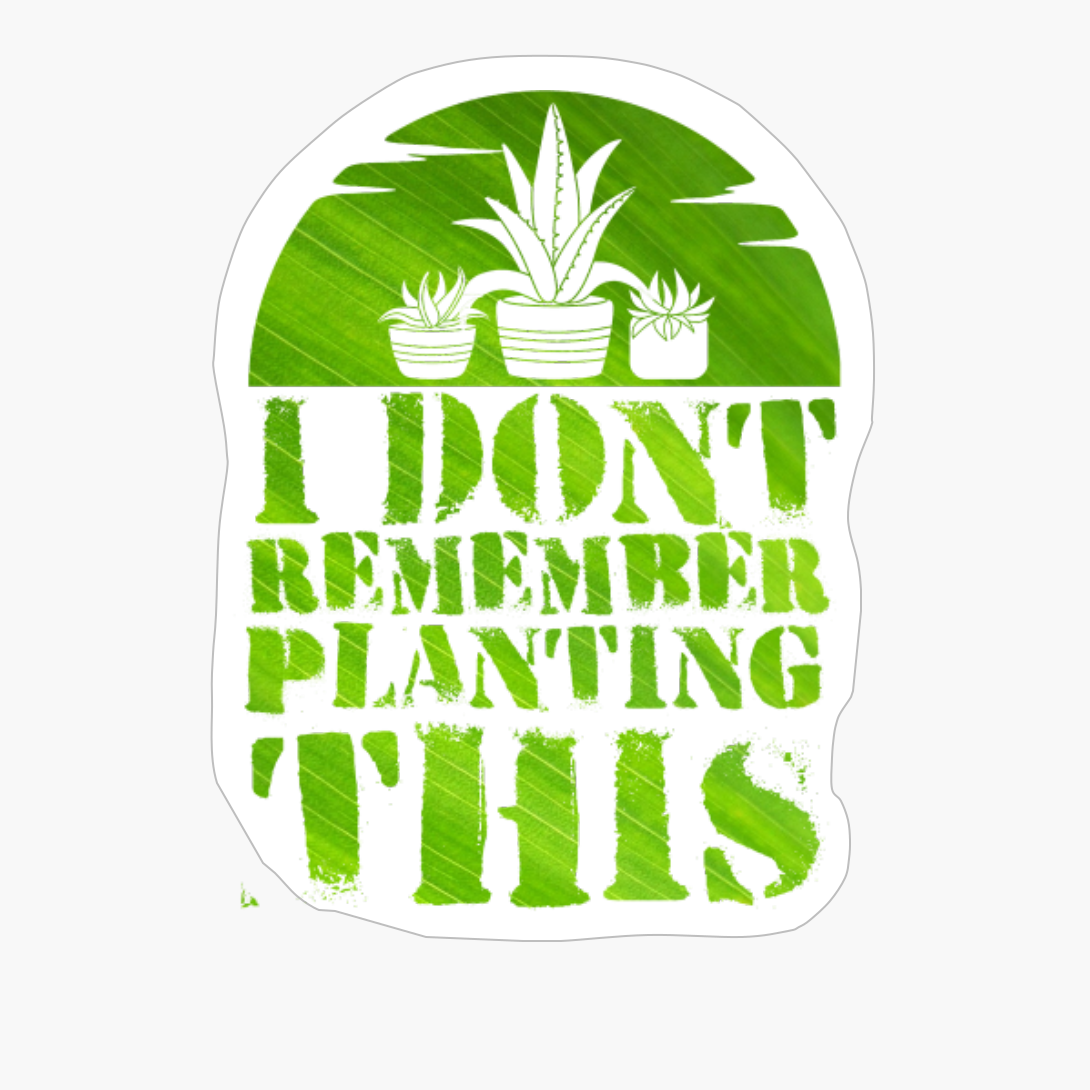 I Dont Remember Planting This Light Green Leave Colors Flower Garderning Sunset Design