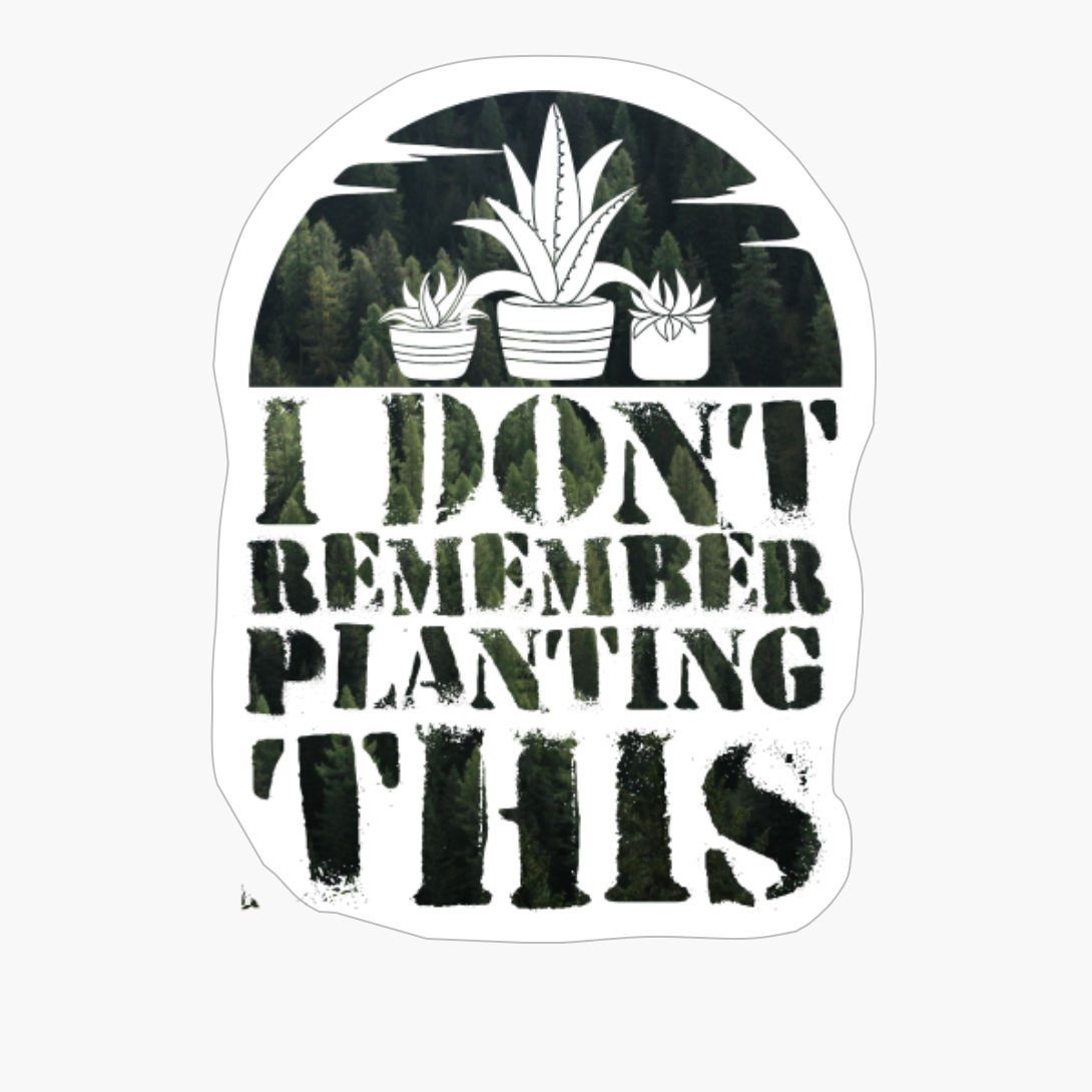 I Dont Remember Planting This Dark Green Forest Colors Flower Garderning Sunset Design