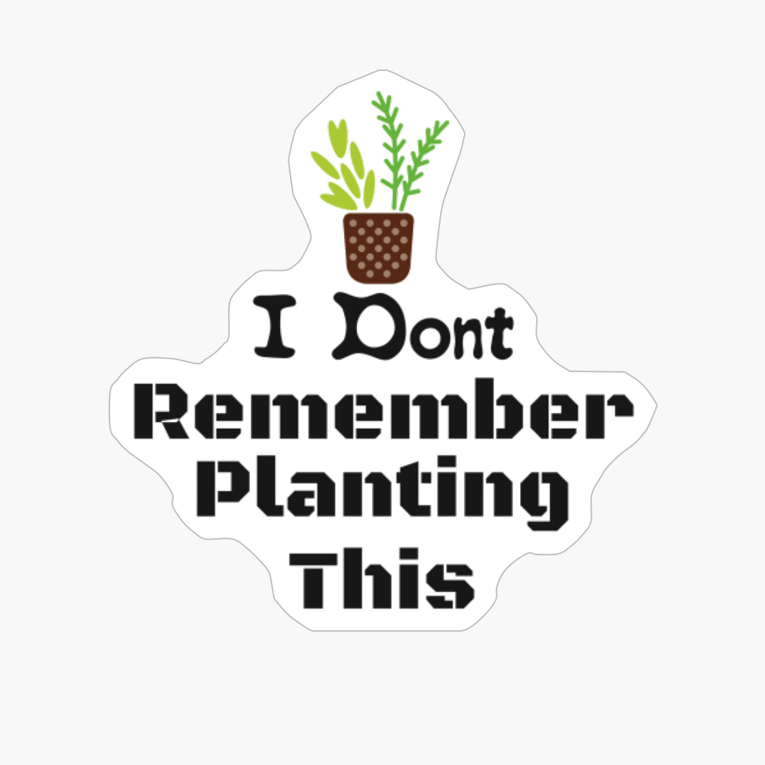 I Dont Remember Planting This Cute House Plant In A Blue Pot With Dots For Gardeners