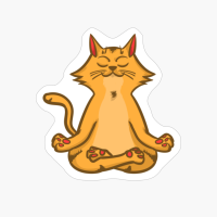 Cat Yoga Namaste Spiritual Meditation Chakra