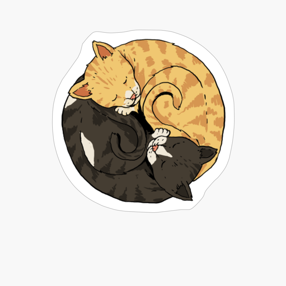 Yin And Yang Cats Yoga Zen Cats Ying Yang Meditation