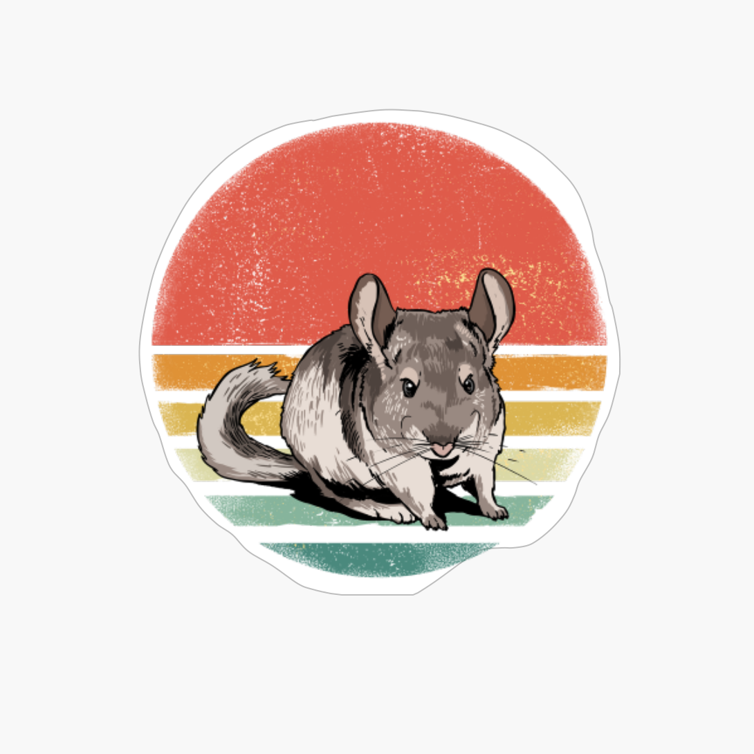 Retro Vintage Chinchilla Shirt Chinchilla Gifts Women Men