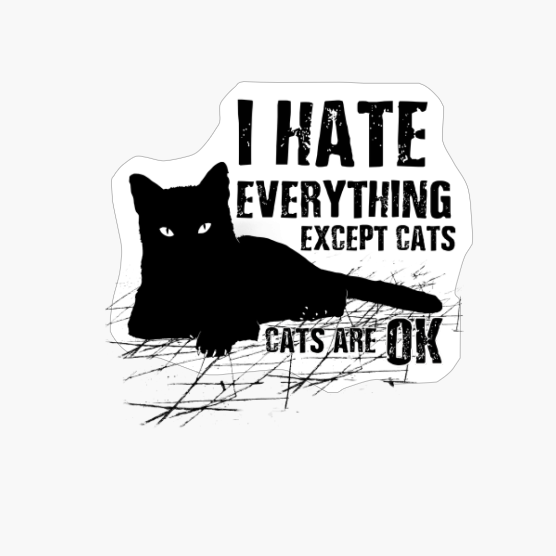 Pastel Goth Kawaii Punk I Hate Everything Except Cats