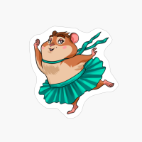 Ballet Dancer Hamster Kids Girls Hamster Ballerina Gift