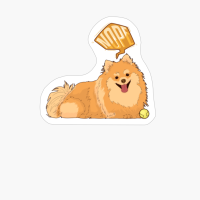 Nope! Lazy Pomeranian Funny Pomeranian Dog