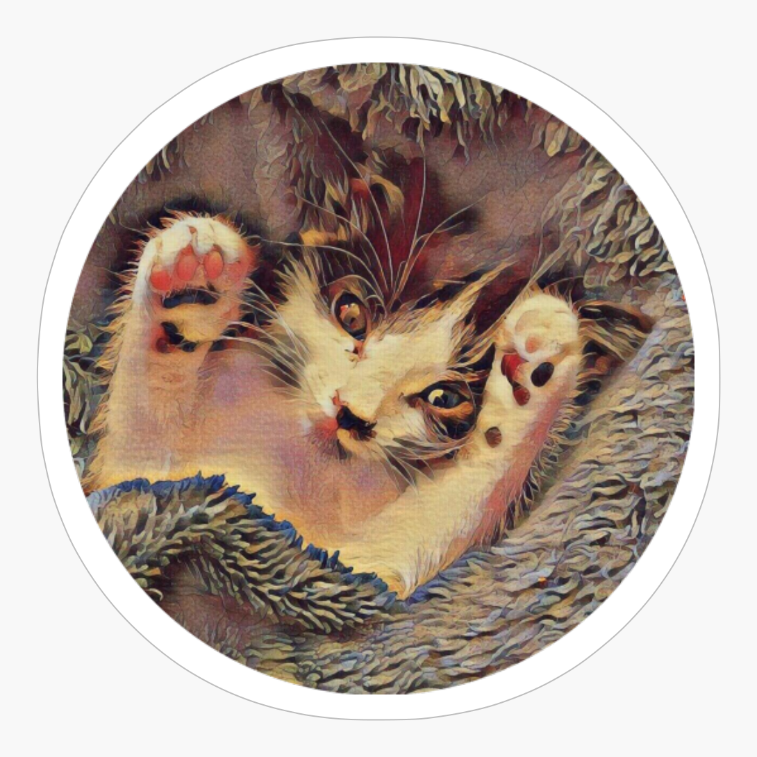 Sweet Cute Blanket Kitten