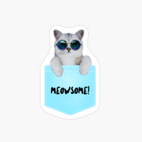 Meowsome Cute Cat