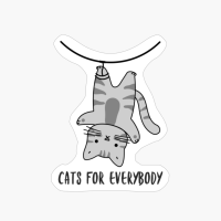 Cats For Everybody