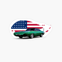 Roadrunner Custom USA Print