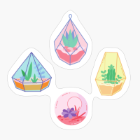 Succulents In Terrarium Pack