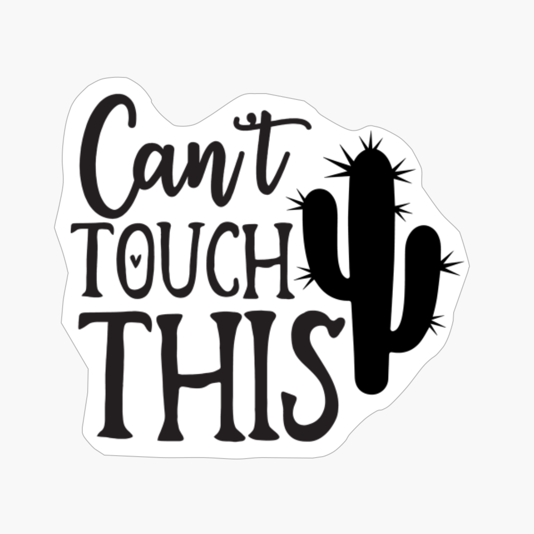 Can't Touch This Perfect Gift For Chef & Kitchen Lover