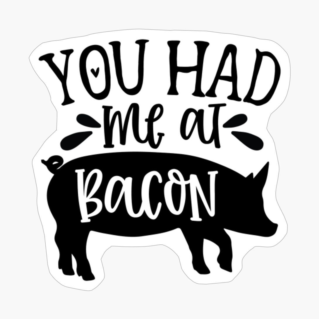 You Had Me At Bason Perfect Gift For Chef & Kitchen Lover