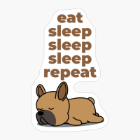 Eat, Sleep, Sleep, Sleep, Repeat - The Perfect Gift For A Lazy Animal Lover