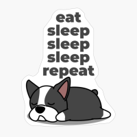 Eat, Sleep, Sleep, Sleep, Repeat - The Perfect Gift For A Lazy Animal Lover